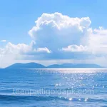 Avatar of Naeem Shah